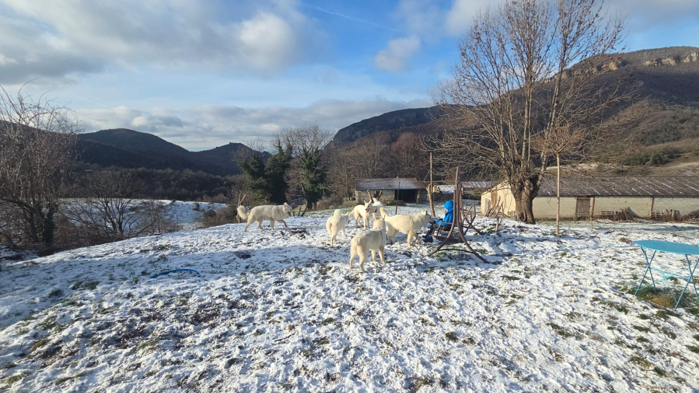 Anniversaire - 1 an de la portée du 31/12/2024